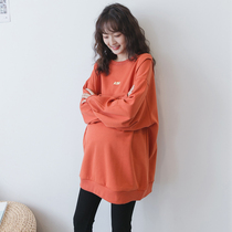 Pregnant women autumn and winter coat Korean casual cartoon print loose size plus velvet pregnant womens sweater Autumn Tide