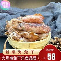 Dried sea hare 500g light sun-free sand-free sea rabbit small squid dry goods sea hare dried full-seeded squid larvae large tube fish