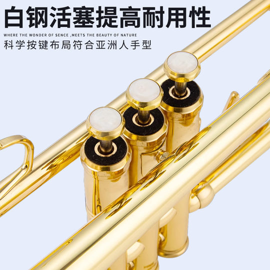 New Three-Tone Trumpet French Ty Brand Tytr-100S B-Flat Instrument for Students, Adults, Beginners, Grading Exams, and Performance