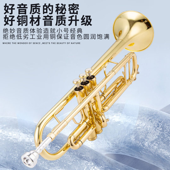 New Three-Tone Trumpet French Ty Brand Tytr-100S B-Flat Instrument for Students, Adults, Beginners, Grading Exams, and Performance