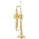 New Three-Tone Trumpet French Ty Brand Tytr-100S B-Flat Instrument for Students, Adults, Beginners, Grading Exams, and Performance