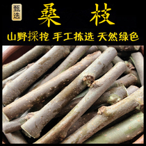 Mulberry Branches Freshly Picked Chaoshan Green Herbs Medicinal Mulberry Branches Mulberry Branches Farmers Freshly Picked Old Mulberry Branches