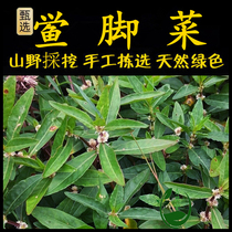 Freshly prepared Chaoshan green herbal medicine horseshoe crab horseshoe crab lotus seed grass flying bamboo grass festival flower.