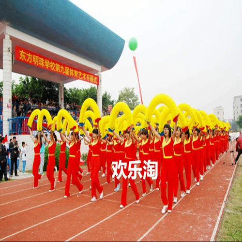 Церемония открытия церемонии открытия гимнастической встречи гимнастики гимнастики гимнастики в руке