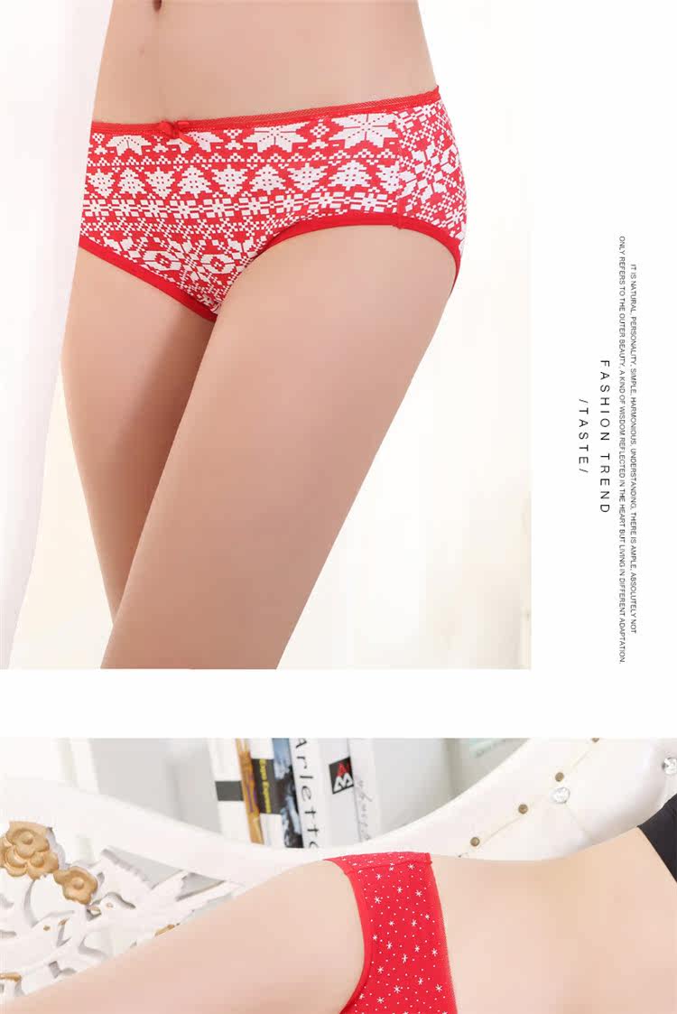 Slip jeunesse NF1425233-1 en coton - Ref 669090 Image 16