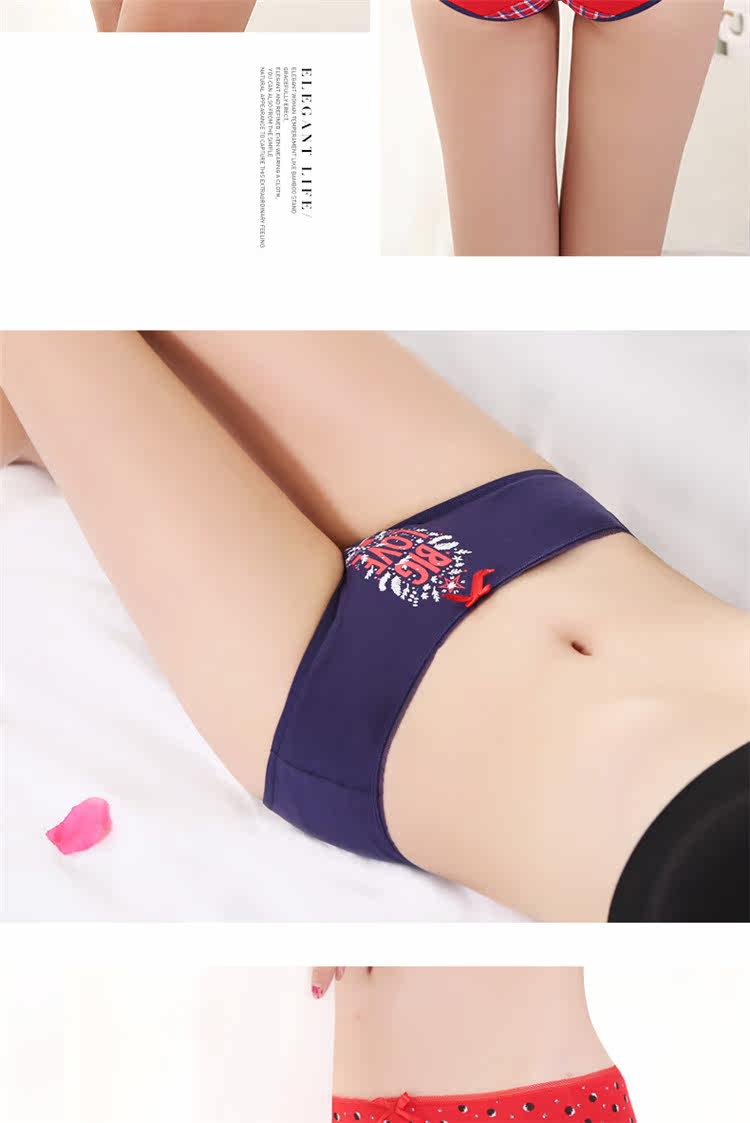 Slip jeunesse NF1425233-1 en coton - Ref 669090 Image 12