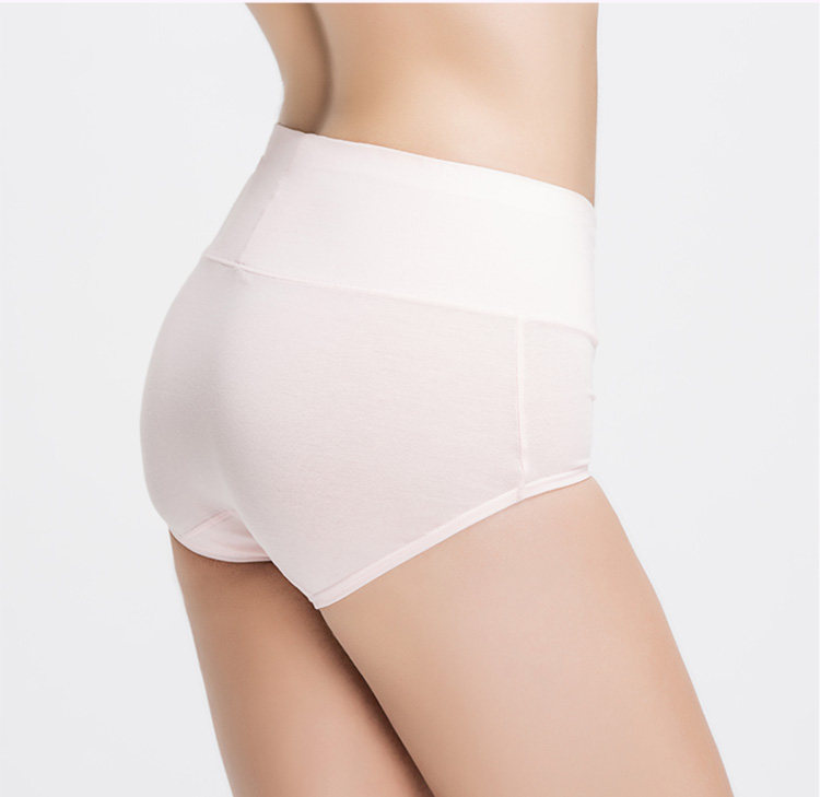 Slip Moyen-âge N016X20332-5 en coton - Ref 669113 Image 18