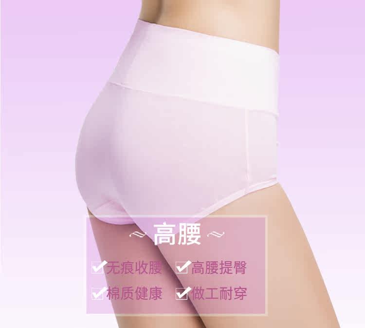 Slip Moyen-âge N016X20332-5 en coton - Ref 669113 Image 7