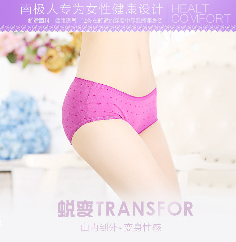 Slip jeunesse NTX2006 en coton - Ref 669046 Image 5