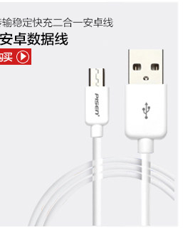 chargeur PISEN pour téléphones APPLE APPLE - Ref 1299061 Image 13