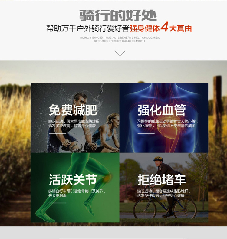 Sacoche pour vélo mixte - Ref 2223132 Image 23