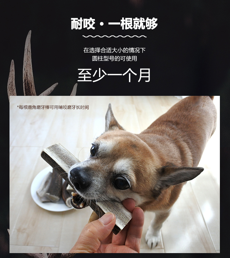 Mạnh chú tự nhiên gạc chó mol răng nhập nguyên liệu chó ăn vặt cắn chó con sạch răng xương thú cưng trưởng thành - Đồ ăn vặt cho chó cám chó