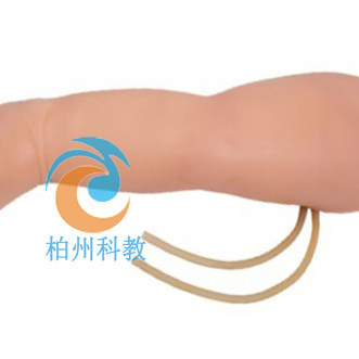 高级婴儿腿部静脉穿刺模型足背静脉穿刺大隐小隐静脉穿刺模具