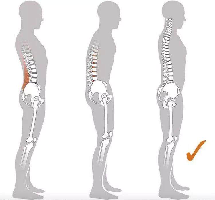 Cheng Ting's whole body posture assessment and rehabilitation treatment with chest and hunchback anterior lead pelvis and leg correction