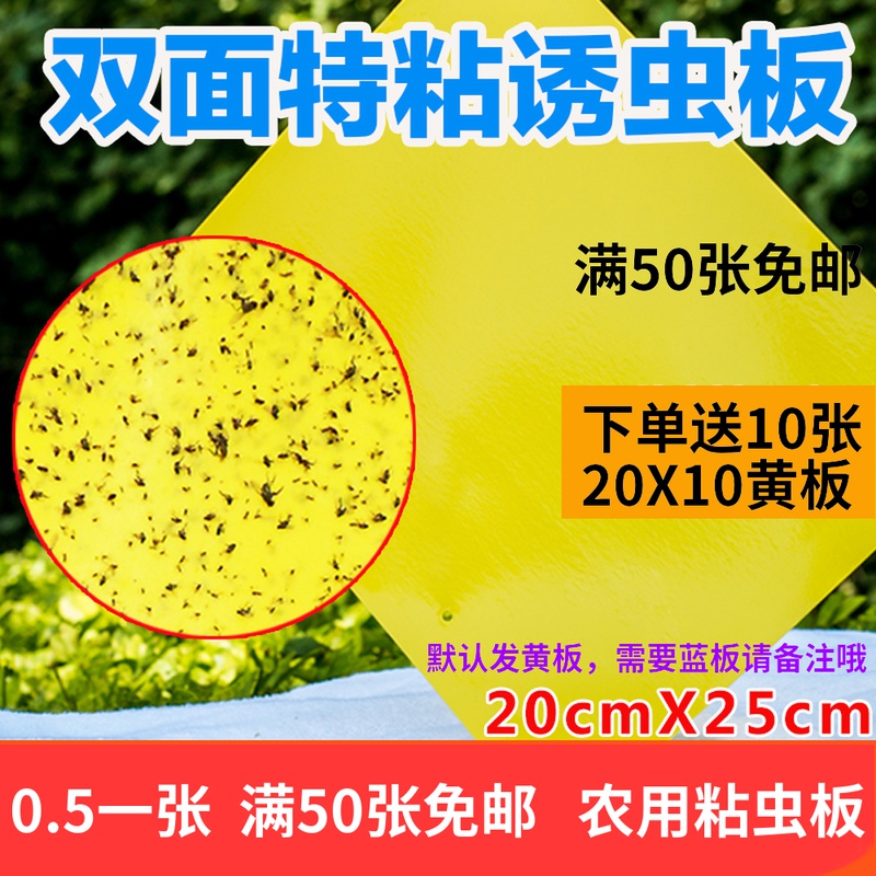 Small black flying yellow sticky insect plate Yellow plate Double face trap plate Orchard Stained Plate Blue Plate Slime Fruit Fly Stick Fly Paper Stick Fly Paper