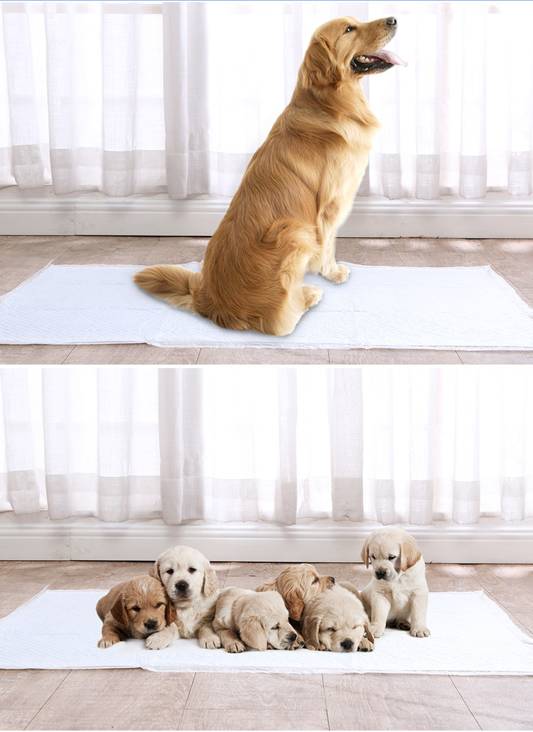 Alice dog tã thấm hút khử mùi vật nuôi mèo mèo nước tiểu pad tã Teddy Bomei cung cấp dày - Cat / Dog Beauty & Cleaning Supplies găng tay loại bỏ lông thú cưng