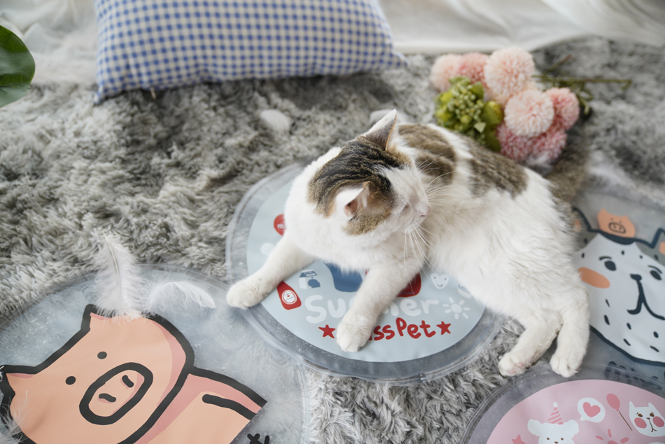 Pet băng pad kennel mùa hè chó mat Teddy mùa hè làm mát nệm tròn mèo mát pad mat mat chó cung cấp - Cat / Dog hàng ngày Neccessities bình nước treo chuồng