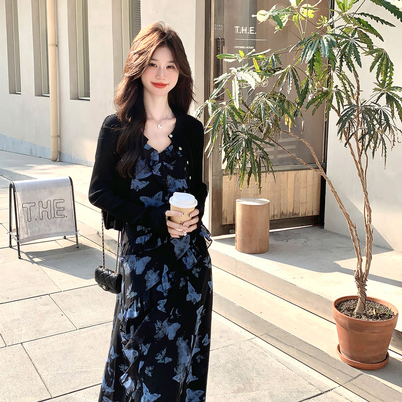 French Butterfly Print Dress Set for Women 2026 New Summer Style, Stunning and High-End Black Cardigan Two-Piece Set