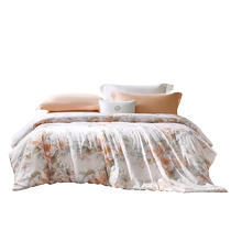 Fu Anna mulberry silk quilt core spring and autumn quilt four seasons quilt summer cool quilt two-in-one mother-in-law quilt air-conditioned quilt winter thick quilt