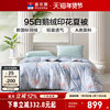 Fuanna 95% White Goose down Quilt Core Air Conditioning Quilt Spring and Autumn Bedding Summer Thin Quilt Bedding Summer Cooling Quilt down Quilt
