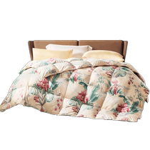 Fuanna quilt white goose down quilt spring and autumn quilt core four seasons quilt thickened and warm student dormitory down quilt winter thick quilt