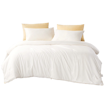 Fuanna produces Xinerle quilt silk quilt winter thick quilt winter warm quilt core spring and autumn quilt bedding