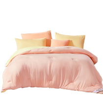 Fuana silk quilt core soybean winter thick quilt winter quilt autumn and winter warm thickened quilt student dormitory quilt core