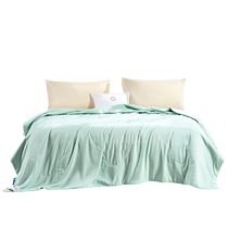 Fu Anna silk quilt summer cool quilt summer thin quilt brushed summer quilt double quilt core student dormitory air conditioning quilt