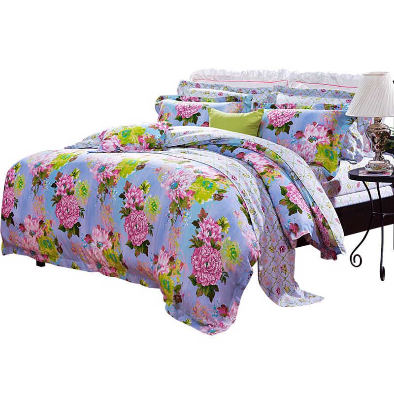 �����ȸ����ȼҷ�ʥ֮����˿�ļ���C015