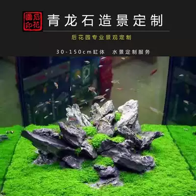 Green Dragon Stone Landscape Grass Garden Landscape Fish Tank Decoration Customized Landscape Super White Fish Tank Stone View