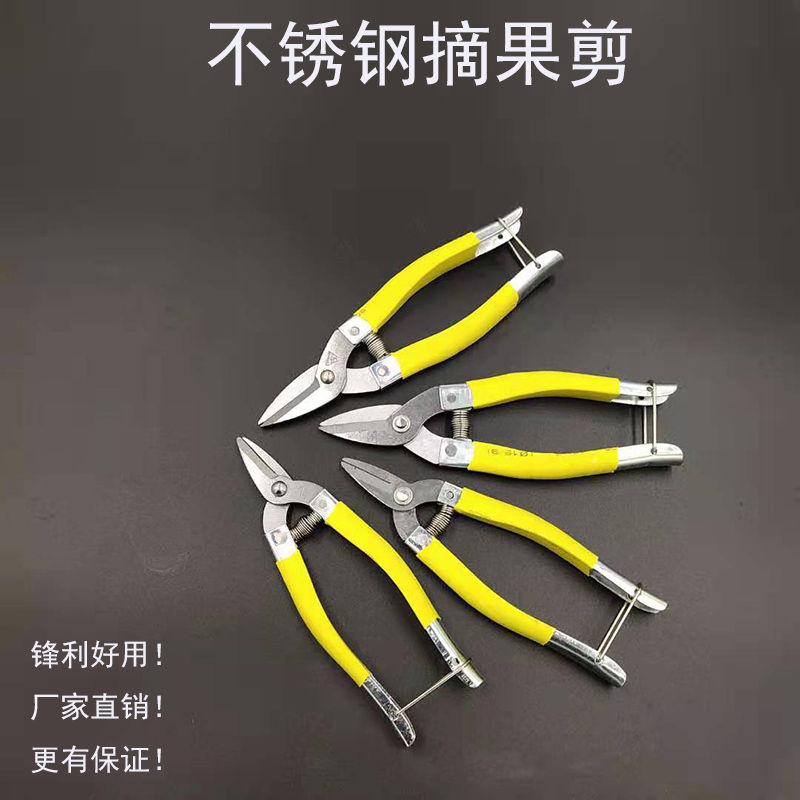Fruit scissors branch scissors picking fruit scissors artifact pruning shears orange shears grape shears flower shears rare fruit shears gardening fruit picking