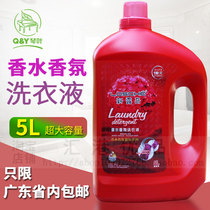 Hong Kong Qinye New Luqi perfume fragrance laundry liquid fragrance long-lasting underwear underwear hand washing machine wash family clothing 5L