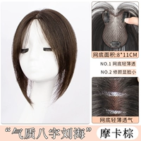 Новое обновление — стиль гороскопа темперамента [Мокко Браун]