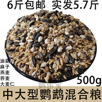Medium and large parrot mixed feed coarse grain seed grain bird food bird food melon seed seed hemp oat 500g