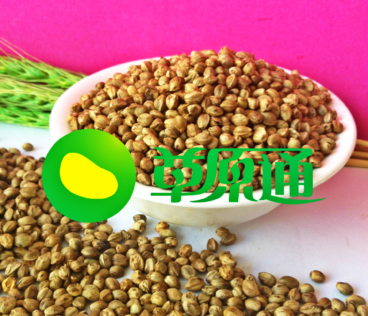 Dry fried castor Inner Mongolia specialty fried hemp seeds Wumeng fried hemp seeds
