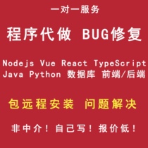 java程序调试bug修改 前端二次开发