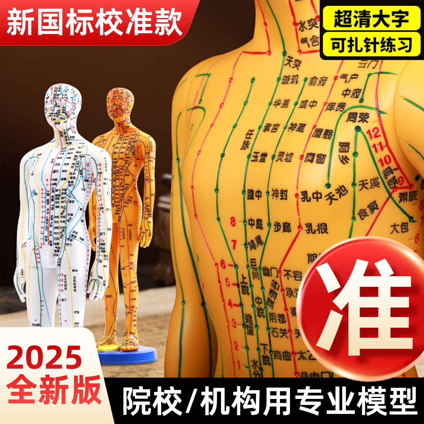 针灸穴位人体模型可扎针经络全身中医小皮人标准铜人十二人形人模