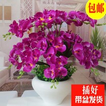 Emulated butterfly Lanter flower-flower suit Living room table TV cabinet Interior decoration Flowers Plastic Pendulum fake flowers