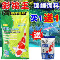 Fish pond Caijin Wang Koi fish feed 10kg bred goldfish staple ornamental fish food balanced feed pellet formula