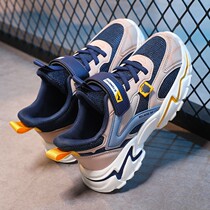 Babu Bean Childrens Shoes Boy Sneaker Boy Spring Autumn Shoes New web surface breathable CUHK Boy primary school children run