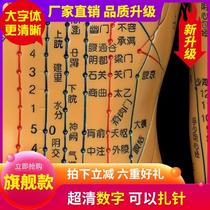 Foot Acupoint Model Ultra Clear Human Acupuncture Acupoint Model Meridians Bronze Man Lettering the hospital with model man