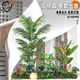 Simulated Green Plant Landscape, Tropical Plant Landscaping Combination, Indoor Shopping Mall Window Decoration, Coconut Tree, Villa Staircase Decoration