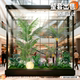 Simulated Green Plant Landscaping Combinations, Hotel Sales Office Landscape Layout, Shopping Mall Restaurant Window Decoration, Tropical Artificial Trees