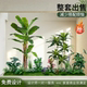 Simulated Green Plant Landscape, Tropical Plant Landscaping Combination, Sales Office Layout, Front Desk, Shopping Mall Window Decoration, Banana Tree