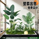 Artificial Green Plant Landscaping Combination for Window Decoration, Fake Plant Landscaping for Indoor Balcony and Entrance Hall, Atmosphere Tree