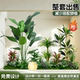Simulated Green Plant Landscaping Combination for Indoor Scene Layout, Tropical Artificial Plant Landscape for Internet Cafes, Shopping Malls, Window Displays, and under Stairs