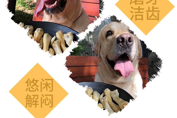 Pet Molar Snacks, Sheepshoe Molars, Chó vừa và nhỏ, Snacks, Golden Retriever, Bites, Milky Molars - Đồ ăn vặt cho chó