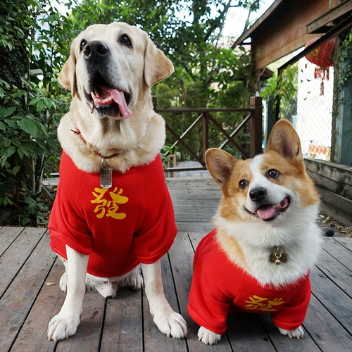 Новая годовалая одежда Большие собаки праздничные теплые плюс бархат