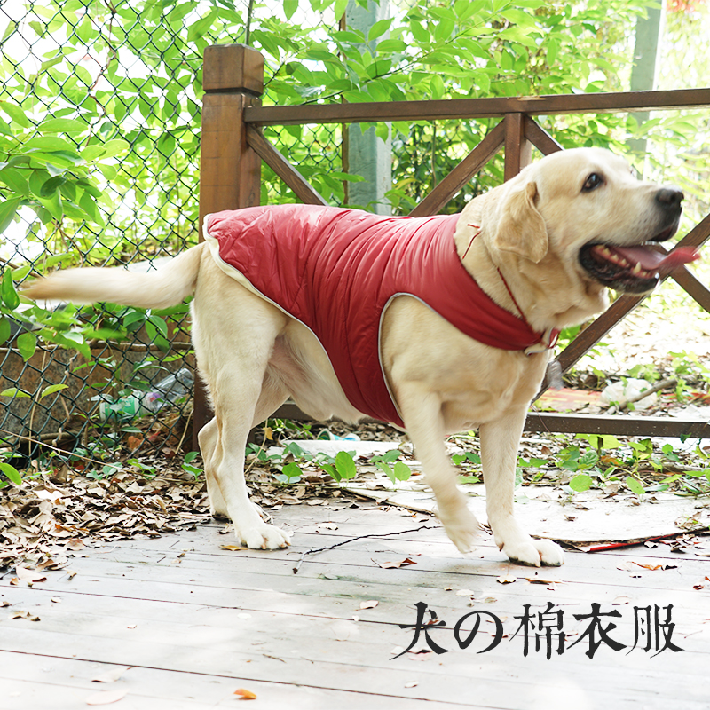 Golden Sweater Dog Labrador Border Shepherd Dog Dog Dog Dog Medium Labrador Winter Clothing