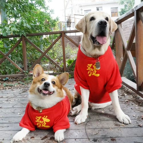 Новая годовалая одежда Большие собаки праздничные теплые плюс бархат